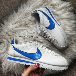 cortez sail blue jay